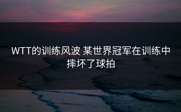 WTT的训练风波 某世界冠军在训练中摔坏了球拍